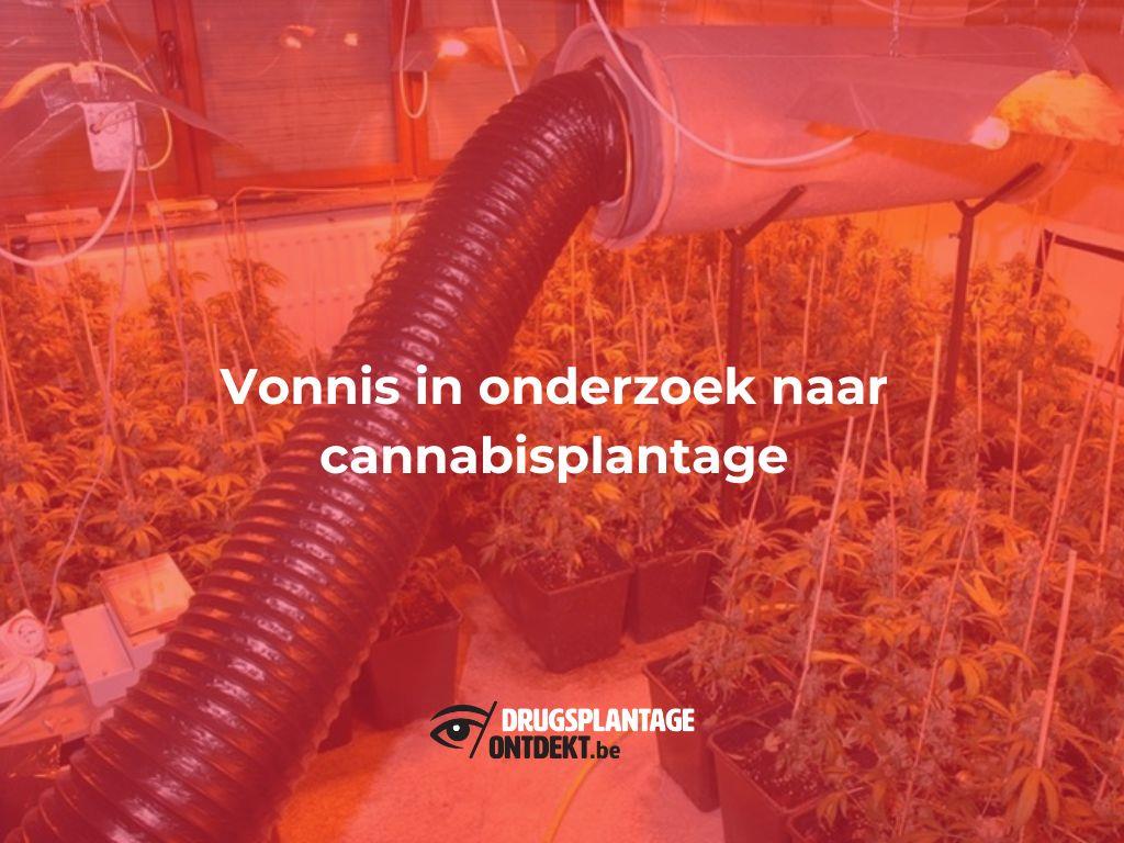 Wilrijk - Vonnis in onderzoek naar cannabisplantage